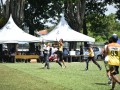 Tn dsc 0831
